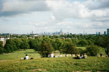 a London park in summer
